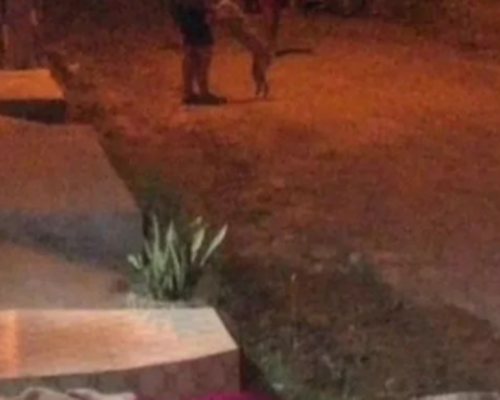 Mulher é assassinada na porta de casa no Sertão do Estado